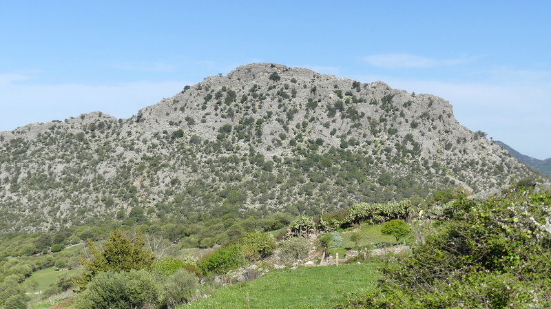 Andalusia: le orchidee e Grandi Pietre  marzo-aprile 2023.